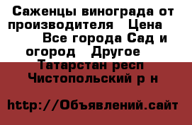Саженцы винограда от производителя › Цена ­ 800 - Все города Сад и огород » Другое   . Татарстан респ.,Чистопольский р-н